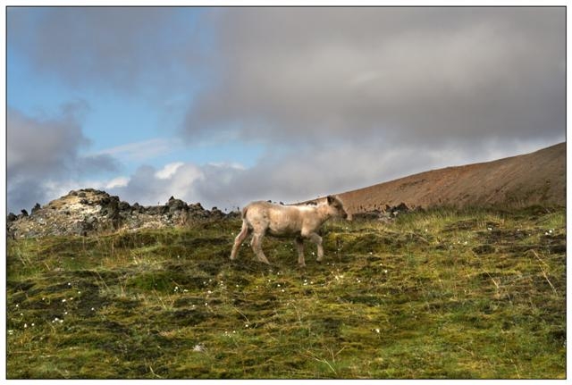 landmannalaugar  98 (Small).jpg